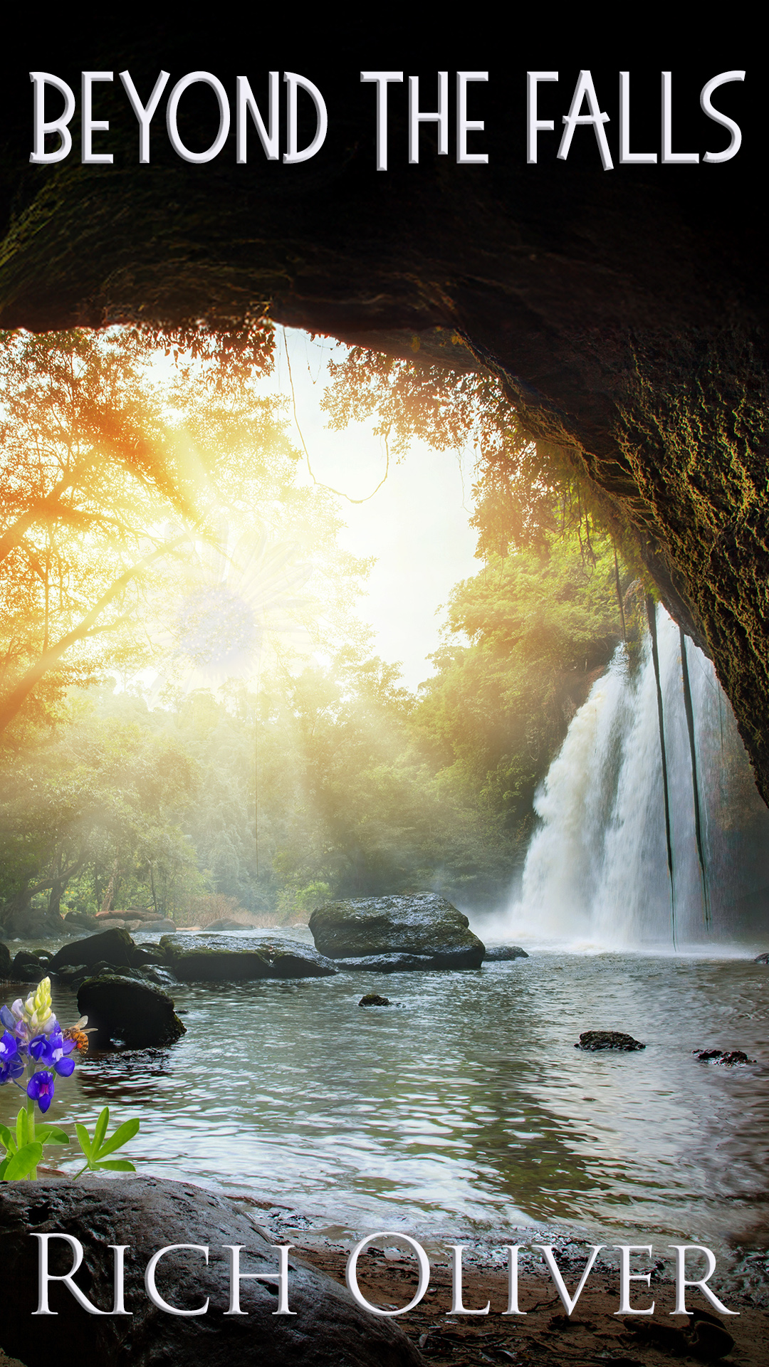 Beyond the Falls by Rich Oliver cover